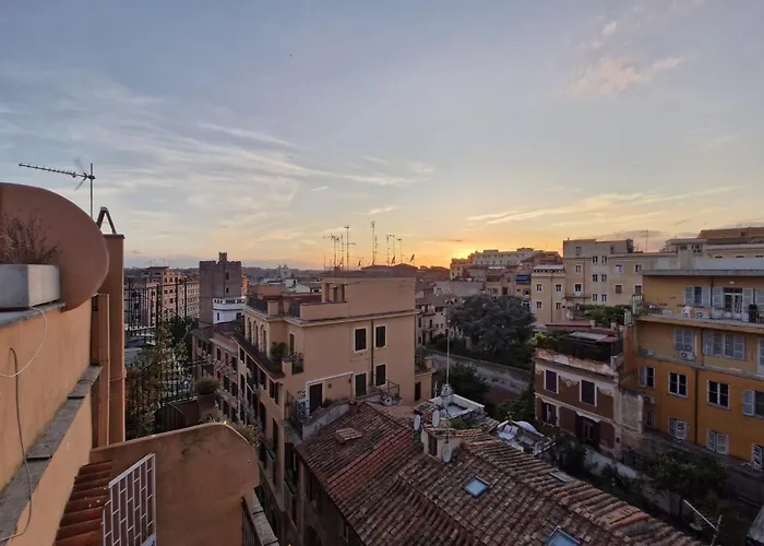 Monti View
