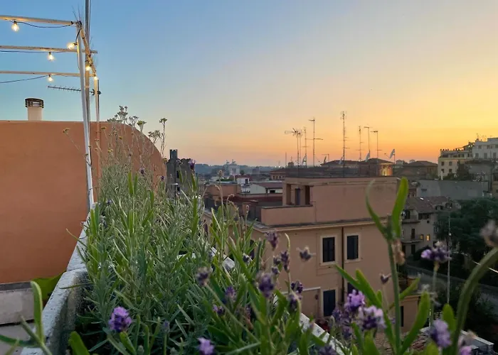 Apartment Monti View *
